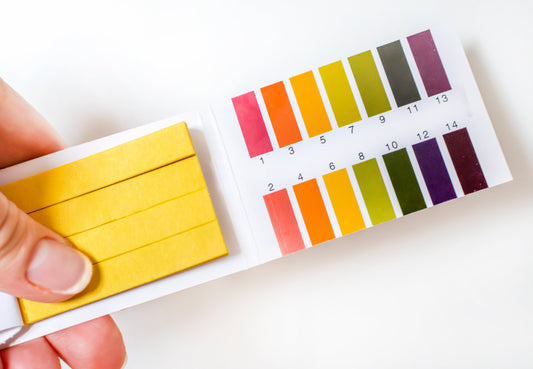 Do You Really Know What Is Vaginal pH Value?