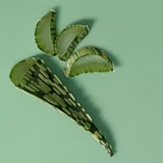 Aloe