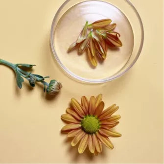 Calendula