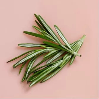 Rosemary essential oil