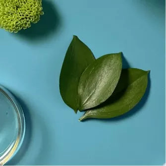 Tea tree essential oil